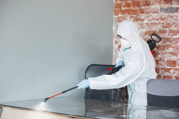 Trusted Malta, IL Mold Removal Experts